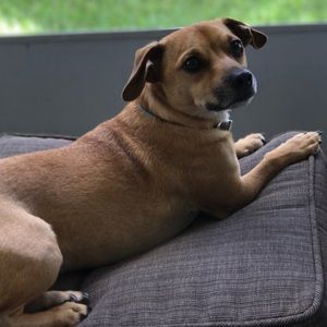 Meet your Posher, Marla